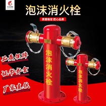 Fire foam hydrant PS100-65X2 foam fire hydrant PS150-80*2 foam fire hydrant above ground