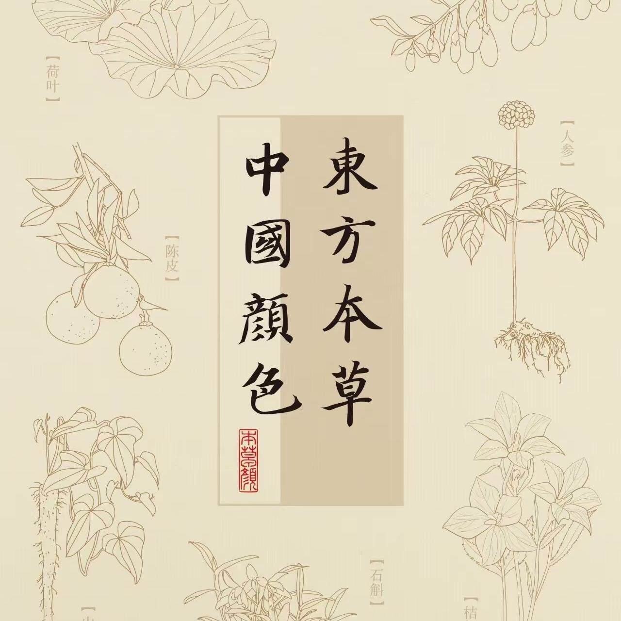 和安健康堂的LOGO