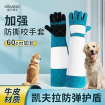 Pet Anti-scratch and Bite Gloves Thickened Anti-Cat Claw Gloves for Cats Durable and Wear-Resistant Dog Training Gloves for Dogs