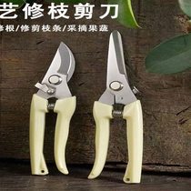 Pruning fruit tree pruning scissors gardening garden pruning pruning scissors household powerful scissors artifact flower pruning scissors