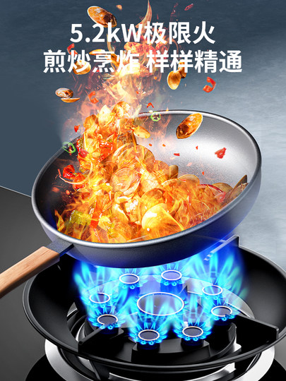 Royalstar Dual-Use Gas and Electric Stove, Built-In Gas Stove, Dual Stove, Household Induction Cooker, Integrated Gas and Electric Stove, Gas Stove