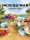 Han Zhenzhu Fruit Pure Children's Bocadillos Fresa de ciruela Sin aditivo azúcar blanca Bebé fruta de regalo pura para bebés y niños pequeños