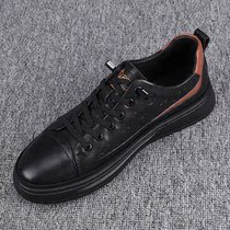 Mens shoes 2022 new fashion color leather shoes male head skin casual shoes tide and shoes