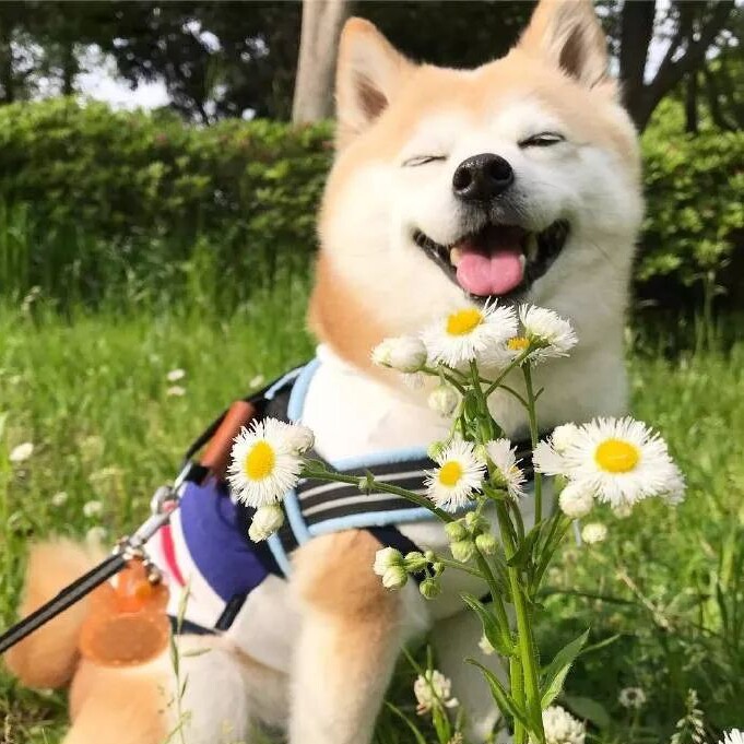金城商贸城