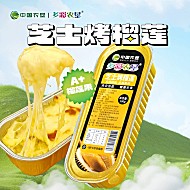 中国农垦拉丝芝士焗烤榴莲100g*8盒