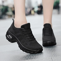 Net HSCQ1918 Black