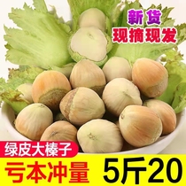 2024 Fresh Wild Large Hazelnuts New Arrival Northeastern Liaoning Green Skin Water Kernels Water Flesh Huan Kernels Peeled Raw Hazelnuts
