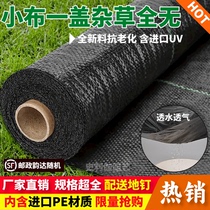 Weed-proof cloth agricultural perforated cover weed-suppressing cloth anti-aging breathable water-permeable anti-aging moisturizing fruit tree mulch film