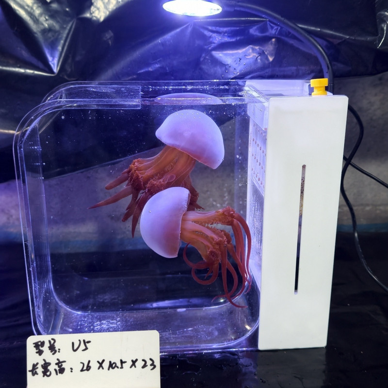 Jellyfish Tank Desktop Jellyfish Tank with High Aesthetic Appeal for Beginners Rocket Jellyfish Tank with Integrated Filtration and Circulation Professional Jellyfish Tank Jellyfish Tank Desktop Jellyfish Tank with High Aesthetic Appeal for Beginners Rocket Jellyfish Tank with Integrated Filtration and Circulation Professional Jellyfish Tank