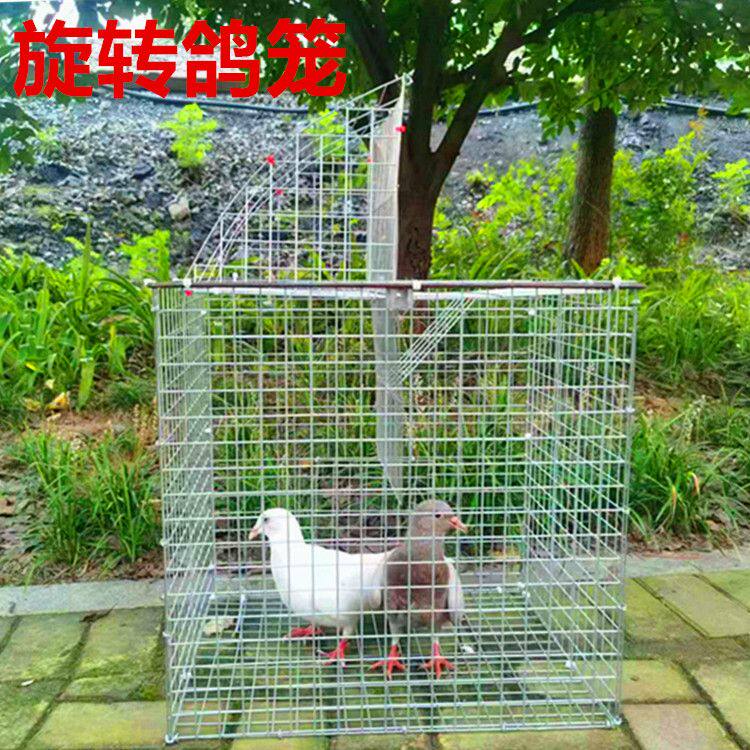 新款捕鸽神器来袭！天落鸟笼旋转笼翻板笼，户外加粗鸽子养殖专用，带你解锁养鸽新姿势！-宠物鸡-淘宝好物网