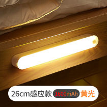 Lianghe body induction night light home corridor staircase voice-controlled intelligent corridor light-controlled long bedside lamp wardrobe