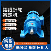 Pin wheel cycloid reducer horizontal vertical reducer with national standard copper wire motor direct connection reducer BWD1XWD2