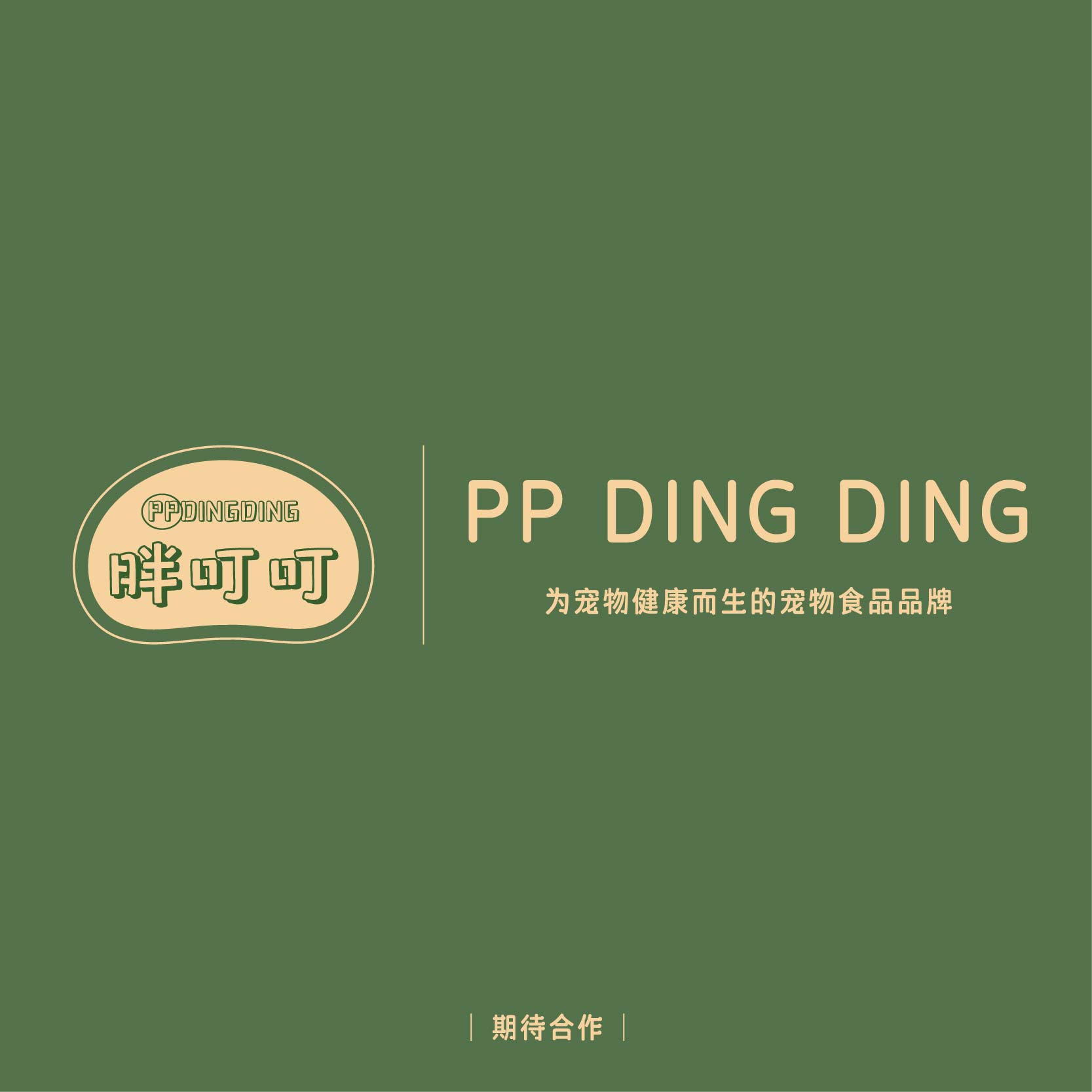 胖叮叮宠物的LOGO