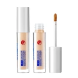 Тональный крем, водостойкий питательный хайлайтер, коллекция 2023