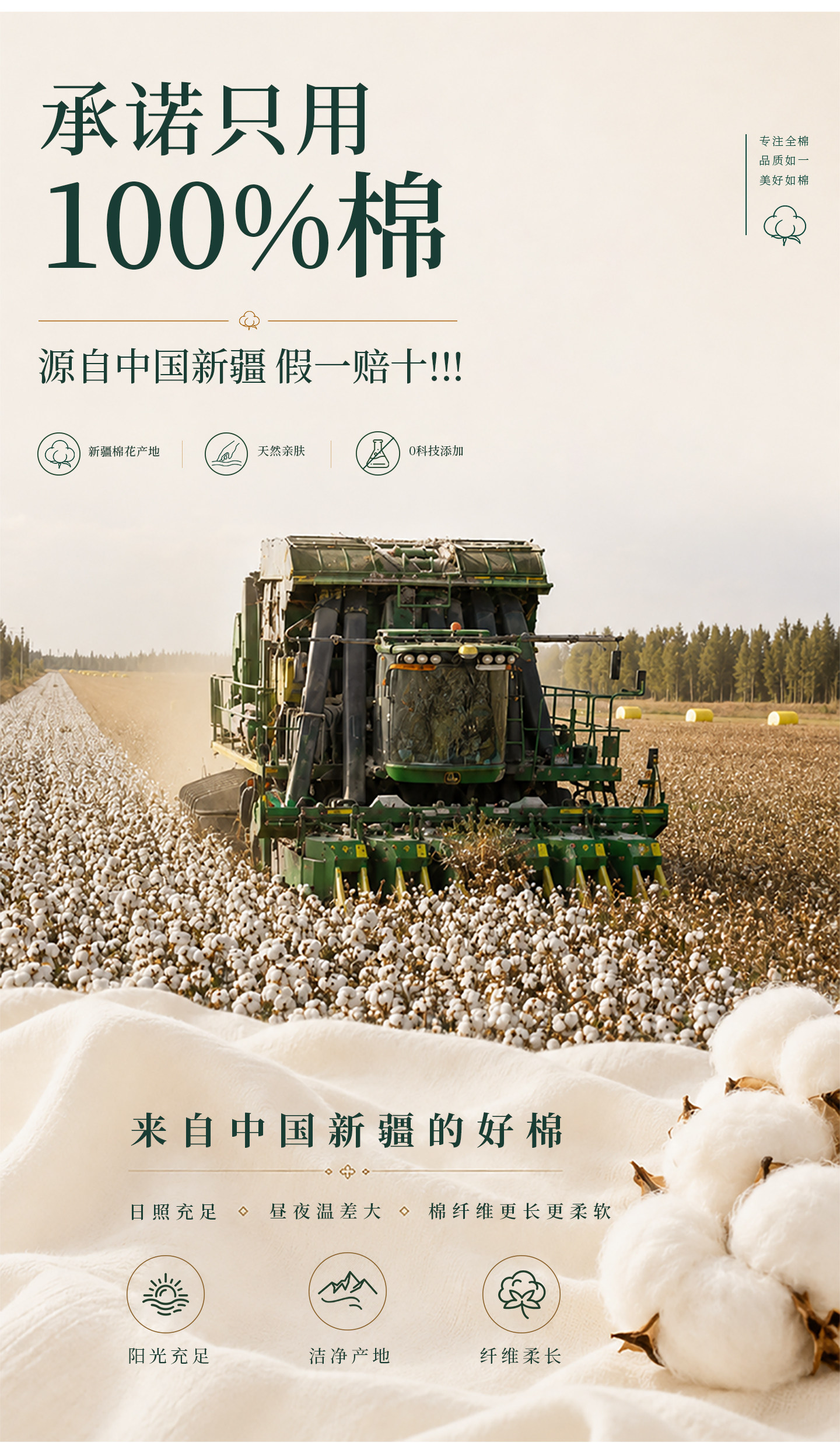 安享好物 安享A级洗脸巾-每朵全棉洗脸巾 国标
