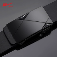 Модель дикой моды