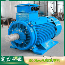 300kw50 Hertz synchronous permanent magnet generator low speed permanent magnet generator hydroelectric generator hydro-generator
