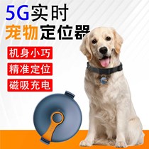 Pet locator GPS real-time update anti-loss tracking and positioning cat and dog waterproof mobile phone remote tracking artifact