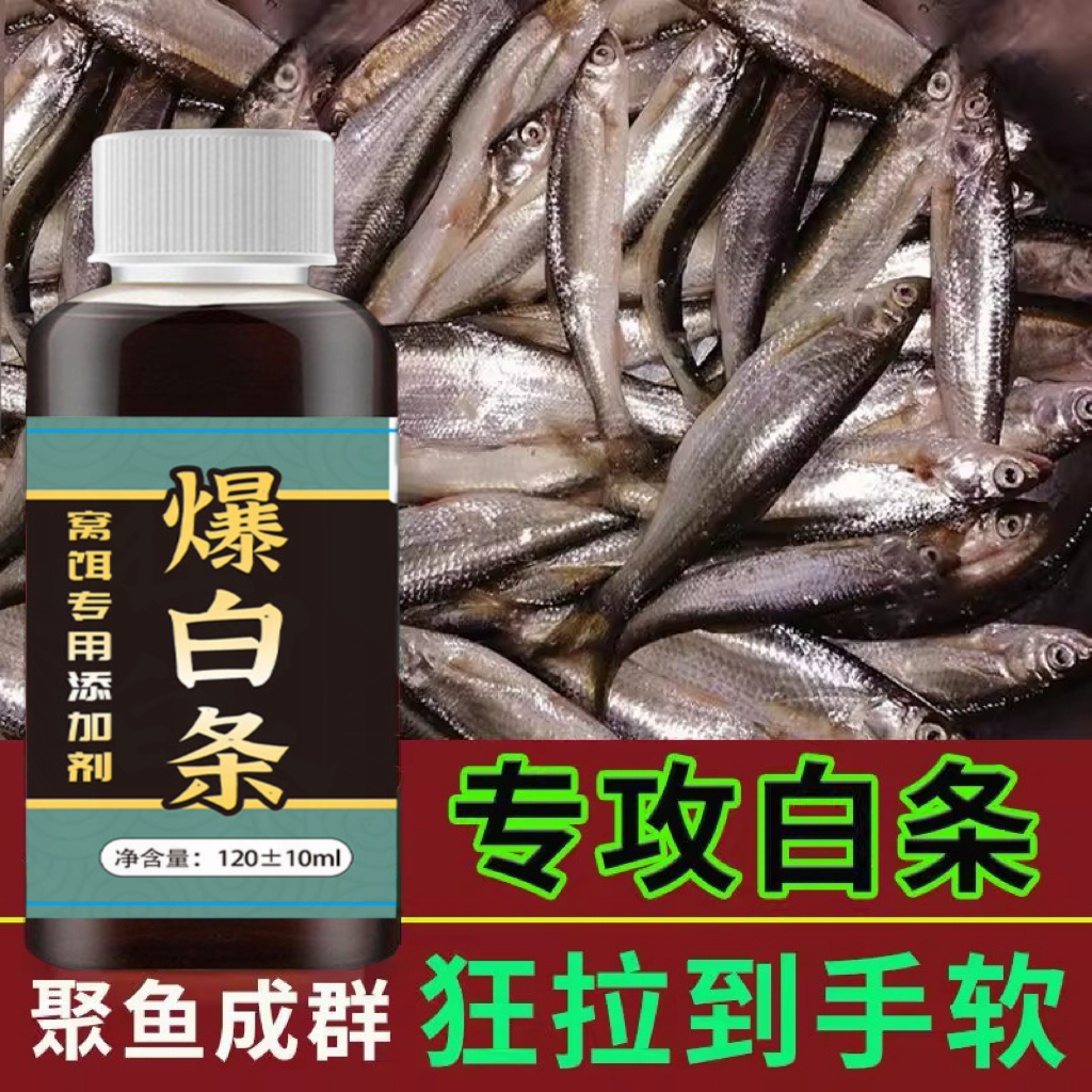 白条鱼饵料攻略：野钓小白条狂口腥香诱饵全解析！