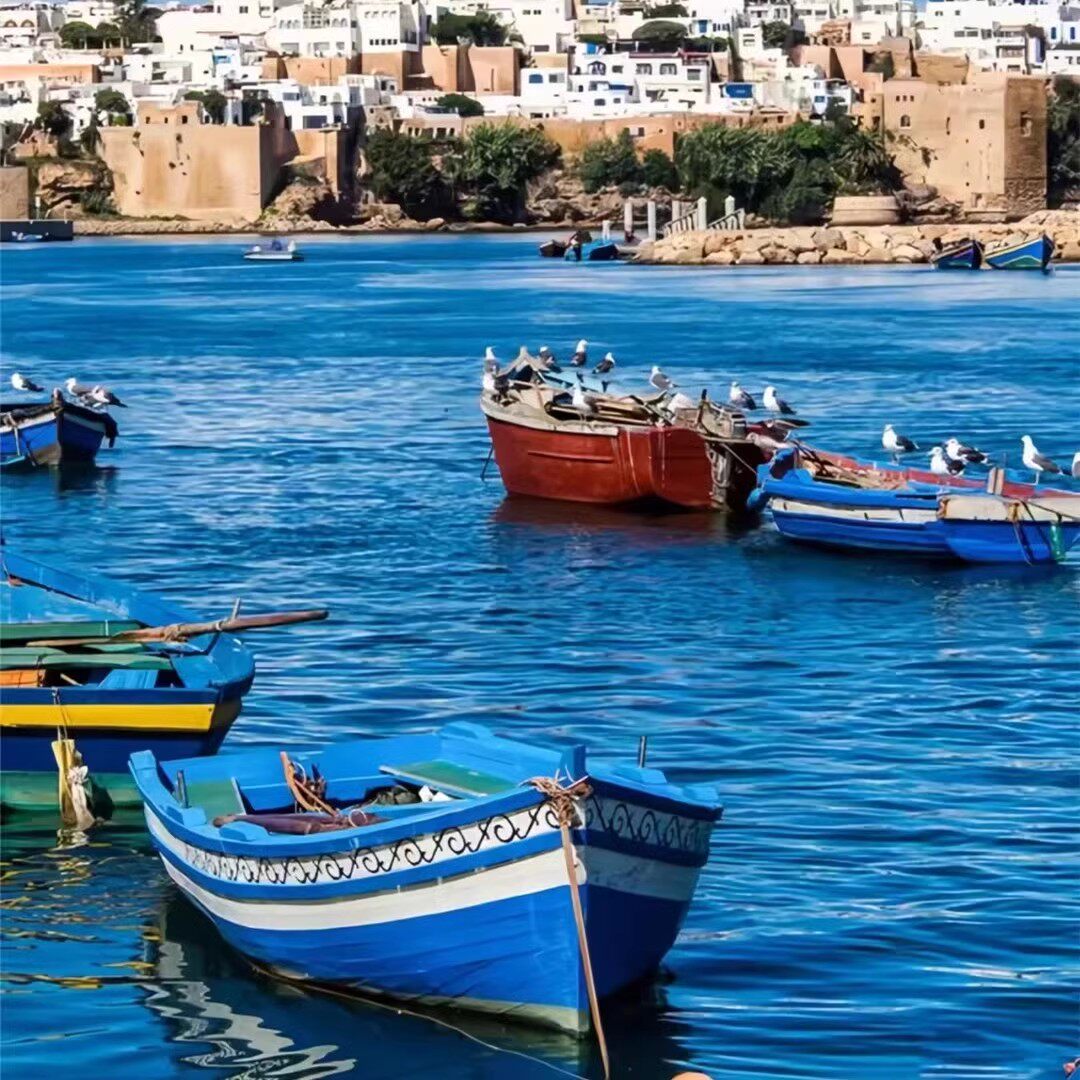 探秘北非的魅力——北非摩洛哥突尼斯跟团游两国联游纯玩撒哈拉沙漠13天深度旅游，带你领略不一样的风情✨🌍-旅行团-淘宝好物网