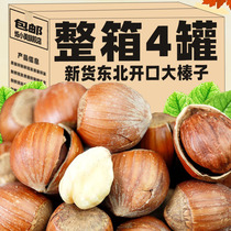 Large Hazelnut Northeast Specialty New Arrival Large Hazelnut Snacks Nuts New Year’s Roasted Seeds Dried Fruit Food Individually Packaged