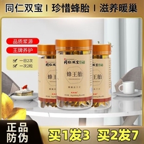Nanjing Tong Ren Tang Royal Jelly Fetus Propolis Pupa Lyophilized Tablets Maintenance Suitable for Authentic Combination Conditioning Students
