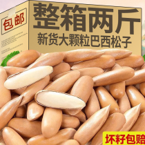 2024 new arrival Brazilian pine nuts hand-peeled pine nuts extra large particles nuts dried fruit snacks for pregnant women non-special flagship store