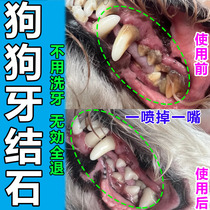 狗狗牙结石溶解牙石速效去除器软化剂嘴巴除臭宠物猫咪泰迪喷雾剂