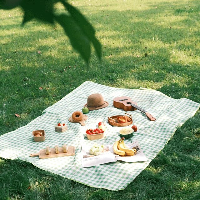 Picnic mat mat moisture-proof mat thickened floor mat outdoor camping picnic cloth beach mat music festival artifact waterproof mat ນັ່ງ