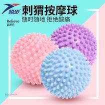 Massage ball plantar fascia ball muscle relaxation fitness ball hand foot and sole sensory training hedgehog ball mesenteric ball