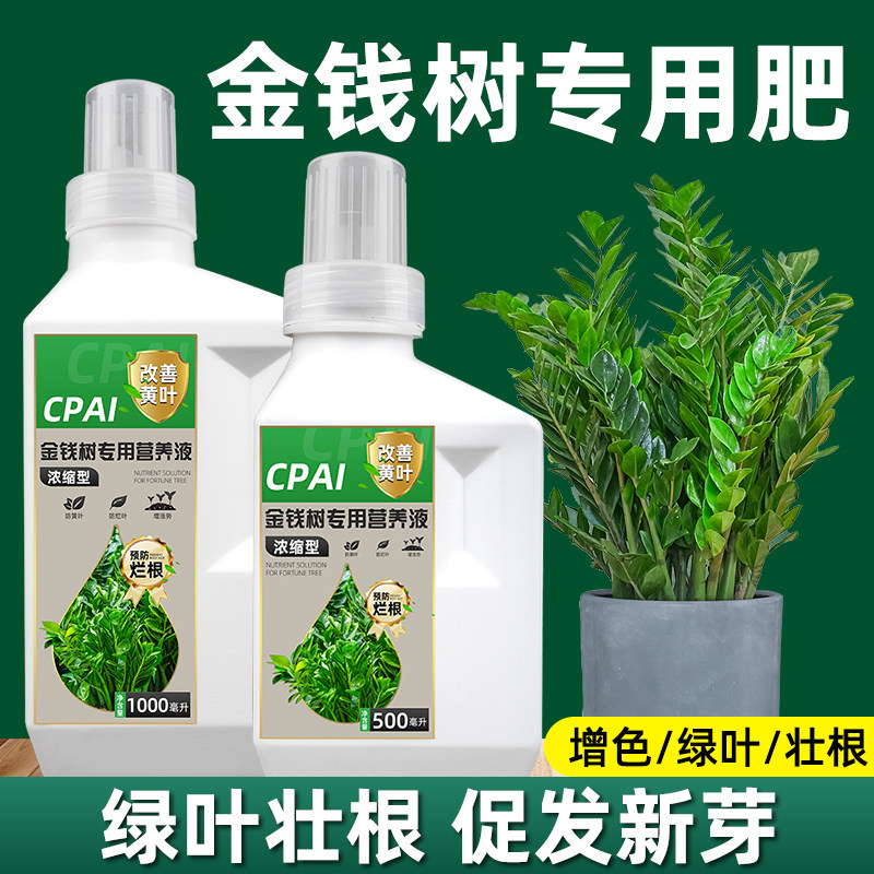 金钱树专用营养液肥料通用客厅室内发财树盆栽植物肥料防黄叶烂根