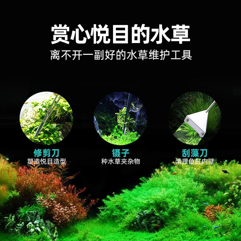 加厚不锈钢水草剪刀不锈钢鱼缸镊子尖头夹子种植修剪造景工具套装