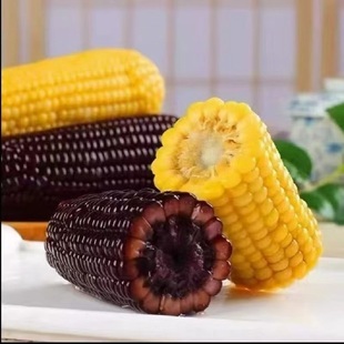 东北应季黑糯玉米真空装4根