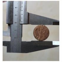 Coconut Shell Coconut Shell Coconut Shell Coconut Shell Coconut Shell Engraving Material