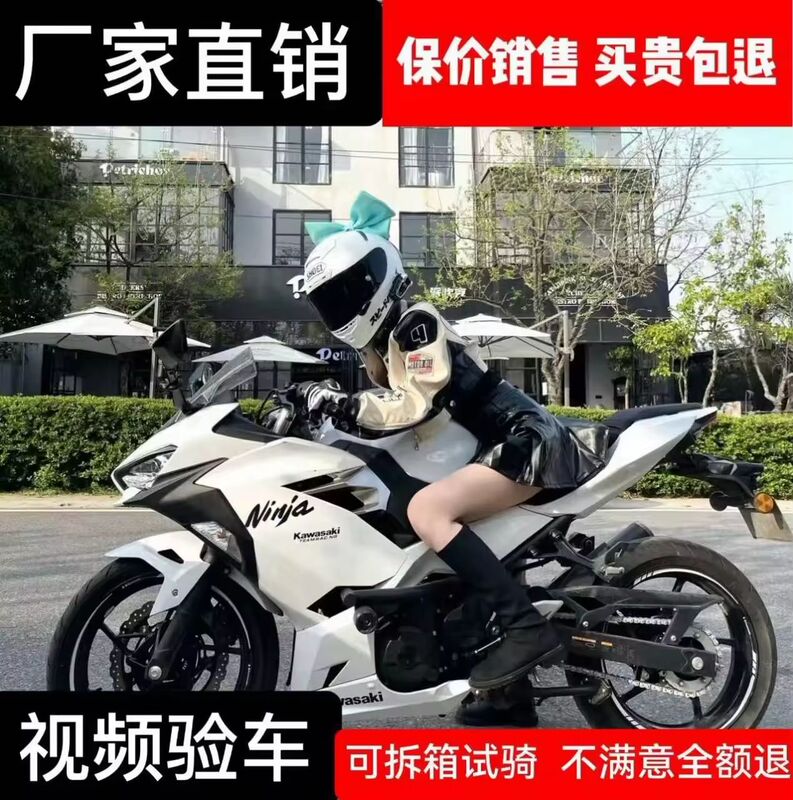 Motorcycle, Small Ninja Bike, Horizon Northern Lights, Adult Fuel-Powered Vehicle, Can Be Registered, Racing Bike
