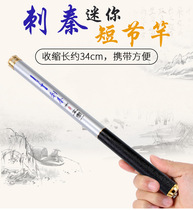 Ultra-short section fishing rod super hard ultra-short section mini fishing rod pocket hand Rod wearing home fishing rod fishing rod 33cm