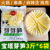 Sichuan small bamboo shoots fresh Luo Han bamboo shoots clear water bamboo shoots hot pot spicy hot skewers crispy and tender bamboo shoots catering commercial use