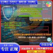 Network security penetration testing web vulnerability scanning report ccrc service code audit software security testing