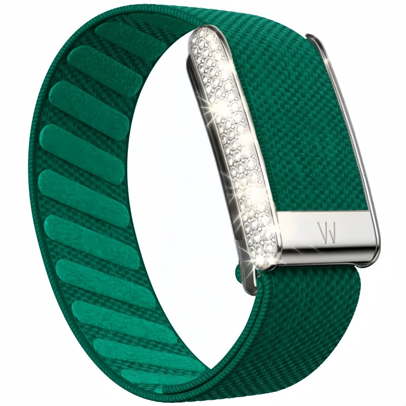 Diamond-Encrusted Nylon Braided Elastic Sports Replacement Wristband Suitable for Whoop 5.0/Mg Same Model Watch Band