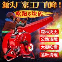 Wind fire extinguisher snow blower high power portable backpack road blower portable 6MF-32 fire extinguisher