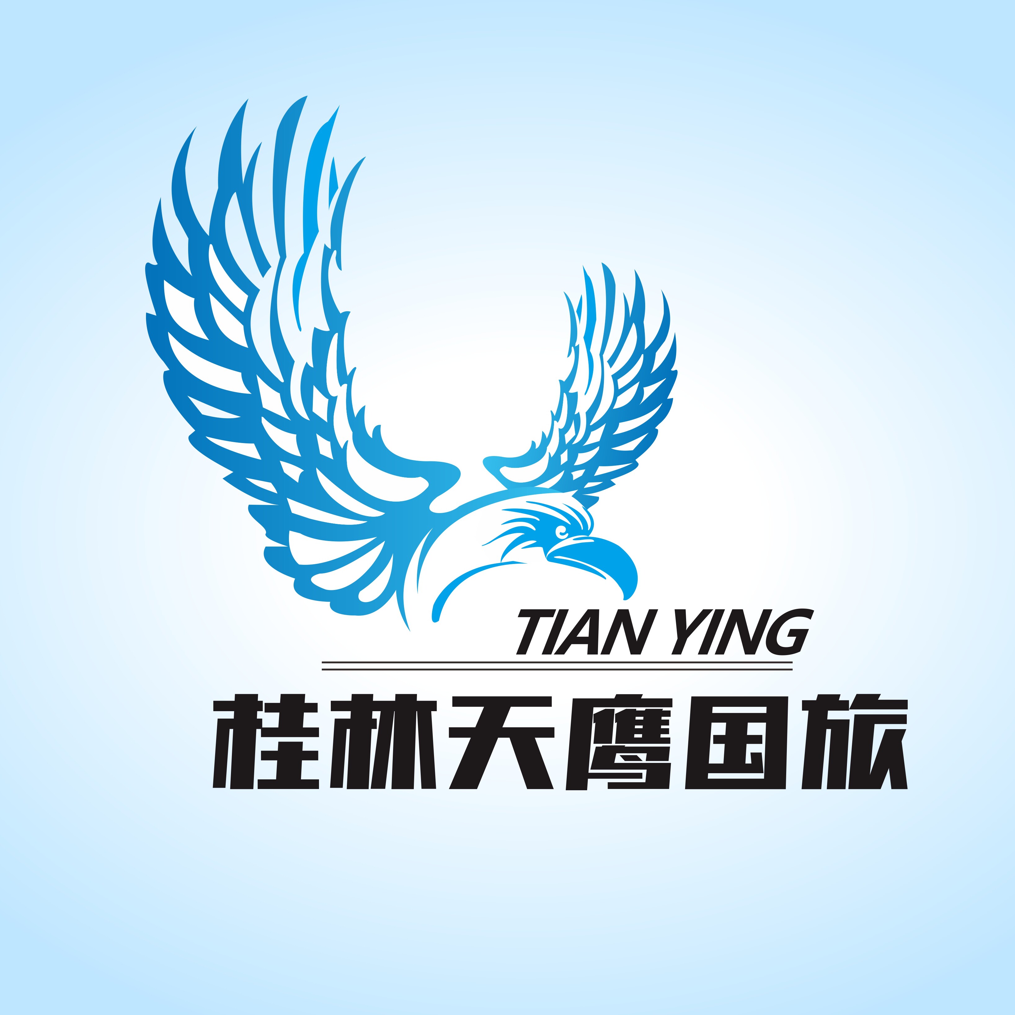 桂林天鹰国际旅行社专营店
