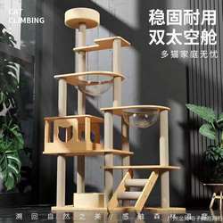 New New arrival Cat Climbing Rack Cat Nest Space Capsule Cat Tree Integrated Cat Jumping Table Small Cat Shelf for Large Cats