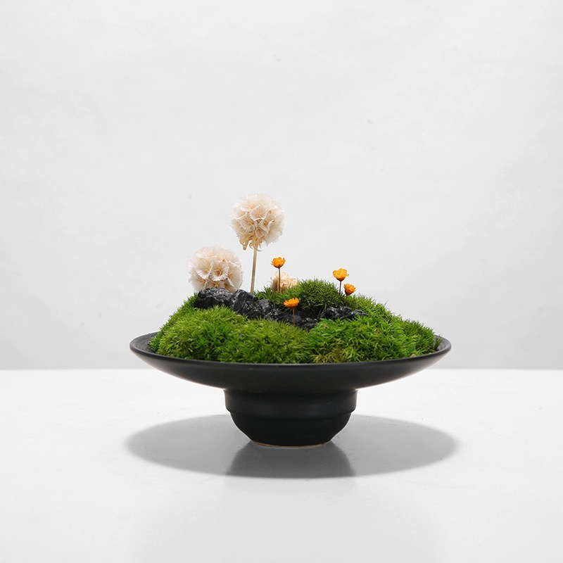 Moss Ball Hat-Shaped Base Flower Pot Indoor Japanese-Style Desktop Zen Decoration Flower Vessel Hydroponic Ceramic Base Plate