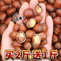 Sister Yu recommends Northeastern specialty jade pendant large hazelnut 3 pounds with free pliers