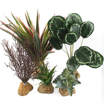 Climbing pet box landscaping plant rainforest desert plant landscaping tropical turtle K box imitation ecological green ecological tank decoration