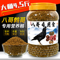 Starling bird feed Chaoge bird food starling grain myna bird food sea eight black starling special quality nutritional feed bird food