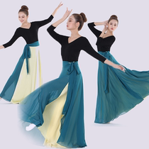 Korean dance practice skirt top double-sided skirt two-color swing dance skirt performance costume for adults
