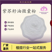 Perilla seed oil microcapsule powder 50% food raw material perilla seed extract factory direct supply in stock