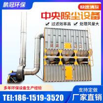 Central dust removal equipment pulse bag exhaust gas dust collection furniture woodworking cyclone high temperature industrial environmental protection equipment
