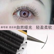 D Barbie Self-Grafted Eyelashes Comic Style Single Velvet Super Soft Baby Curved Mink Hair Naturally Thick